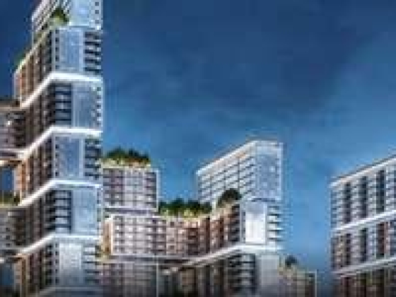 Dia Properties