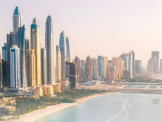 Ibia Realty