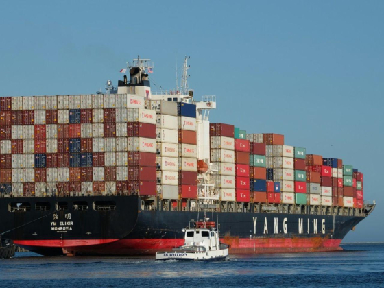 Sea Lion Shipping & Logistics