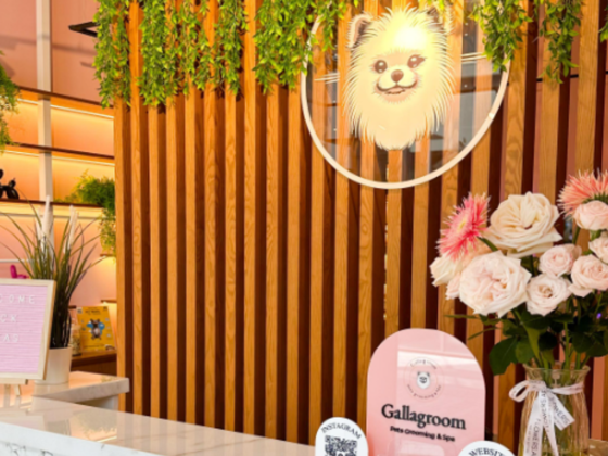 Gallagroom Pets Grooming & Spa