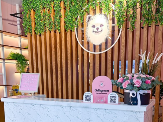 Gallagroom Pets Grooming & Spa