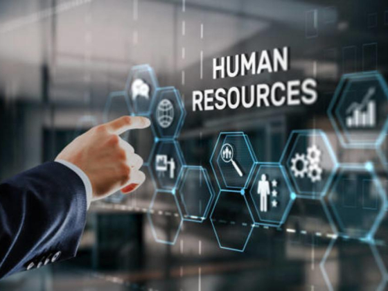 Terrafirma Solutions