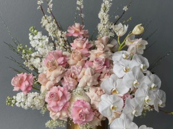 Rose Classic Flowers Trading