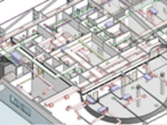 Elementary Bim Project Management Services