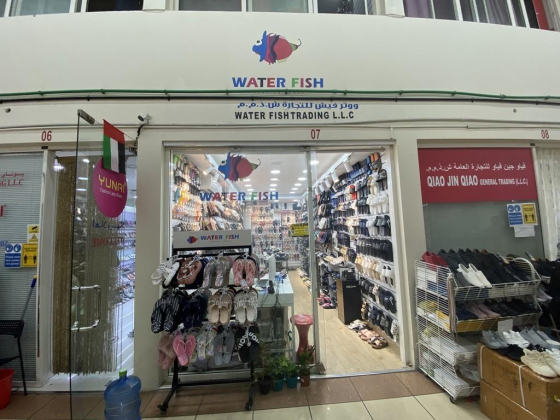 Water Fish Trading