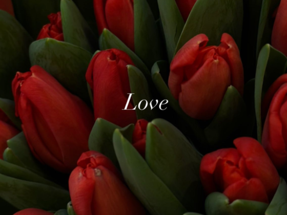 Fleurs Boutique