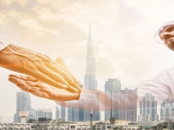 Dubex Businessmen Services