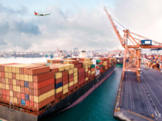 Swala Air Cargo Services