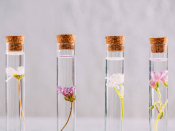 Shmoukh Perfumes Industries