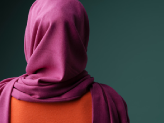 Tareeq Al Safa Textile Trading