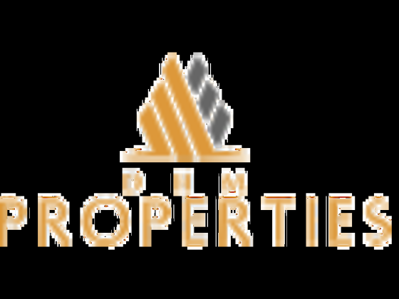 DHM Properties