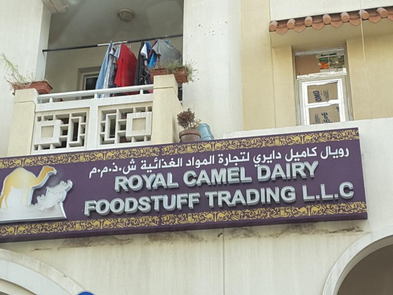 Royal Camel Dairy Foodstuff Trading