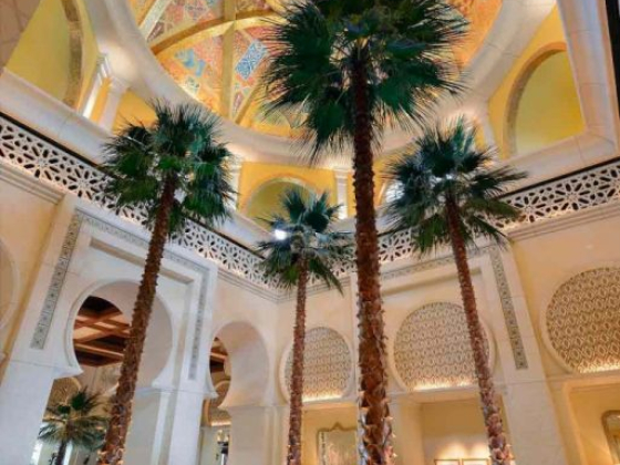 One & Only The Palm