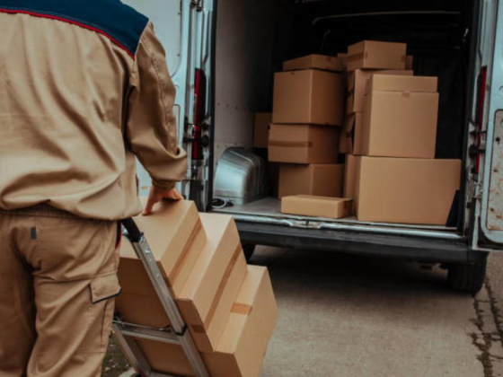 Minerva International Freight Services