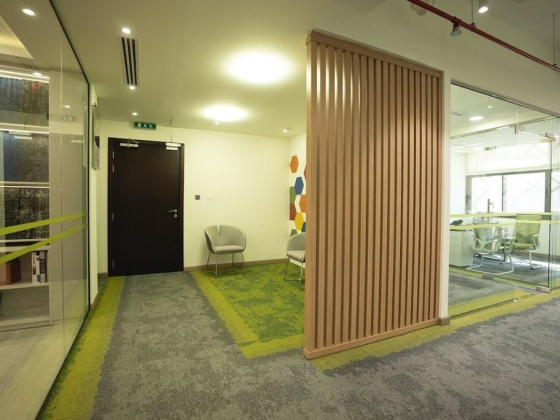 Eco Floor Carpet