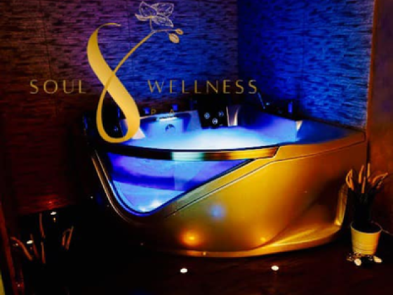Soul Wellness Spa & Beauty Center