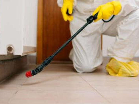 Dubown Facility Public Health Pests Control Services