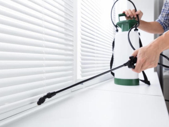 Dubown Facility Public Health Pests Control Services