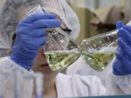 Sapfira Scientific & Laboratory Equipment Trading Company