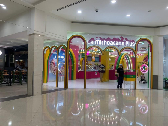 La Michoacana Plus