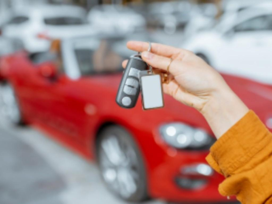 Al Neser Al Zahabi Car Rental