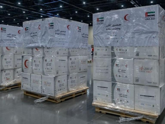 Dubai Cares (charity Box)