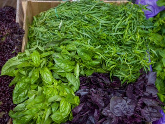 Jaswinder Singh Natural Herbs Trading