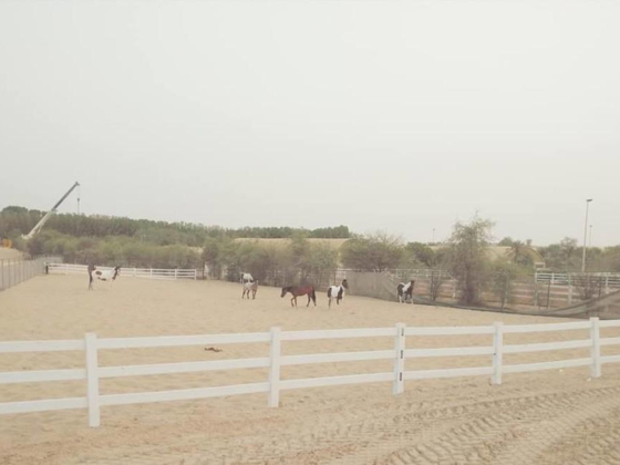 Furusiyya Equestrian Club