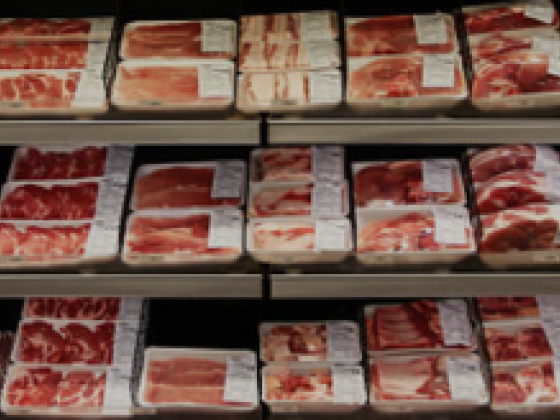 Bab Al Harmain Meat Trading