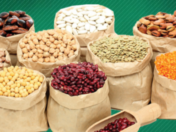 Al Raha Foodstuff Trading