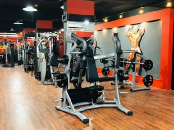 Bodyzone Star Gym