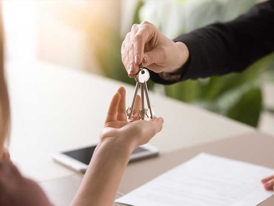 Housing & Real Estate