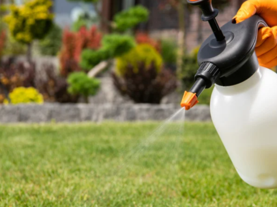 Hemera Future Agricultural Pesticides Trading