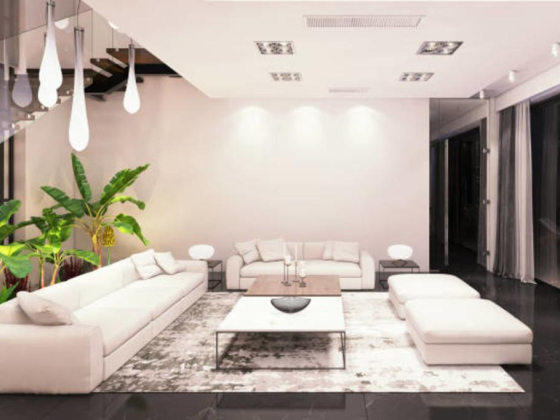 Palm Hills Real Estate
