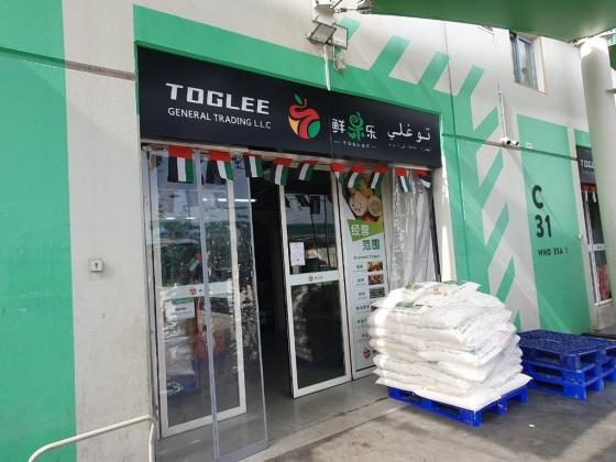 Toglee General Trading