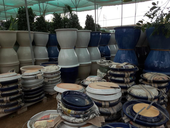 POINCIANA NURSERY L.L.C