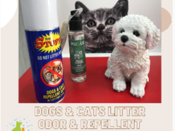 Judi Pets