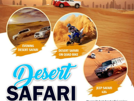 Blue Star Travel And Tourism