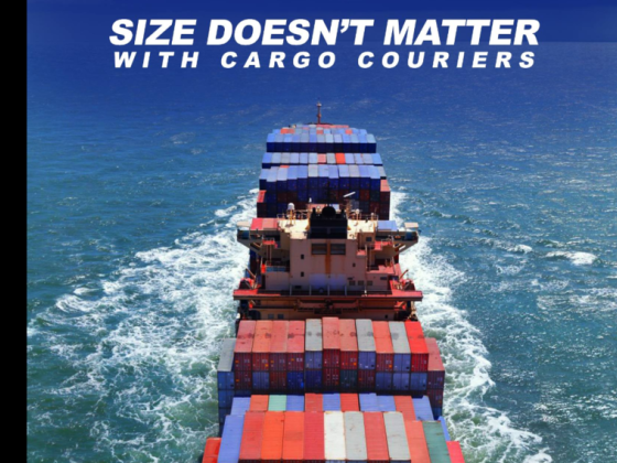 D T D C Eurostar Courier & Cargo
