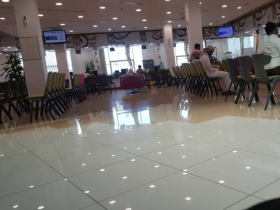 Dubai Electricity and Water Authority (DEWA)