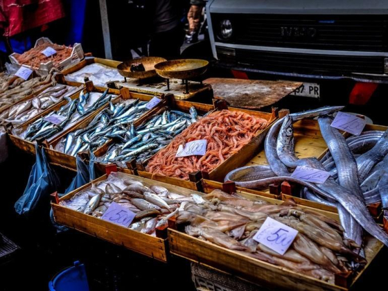 Al Noor Fish Trading