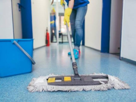 Beautiful Star Cleaning Services