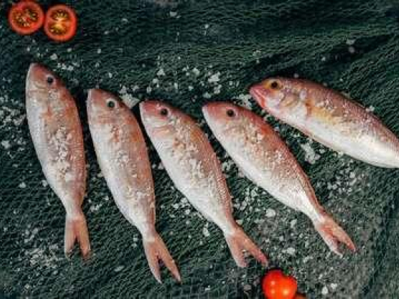 Royal Delicious Fish Trading