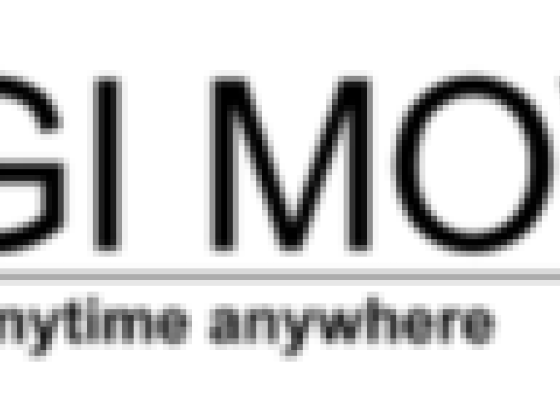 Gi Movers Service