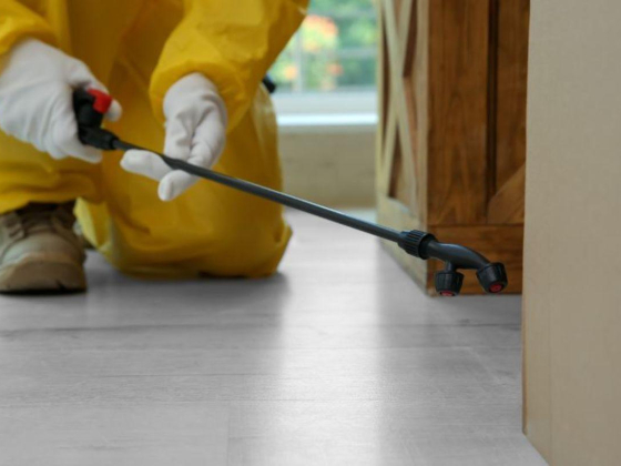 Al Aadeel Pest Control Services