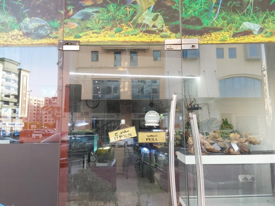 Natures Garden Aquarium