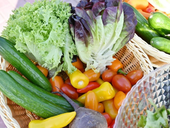 Krishi Care Farms