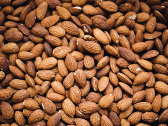 Healthy Life Day Trading