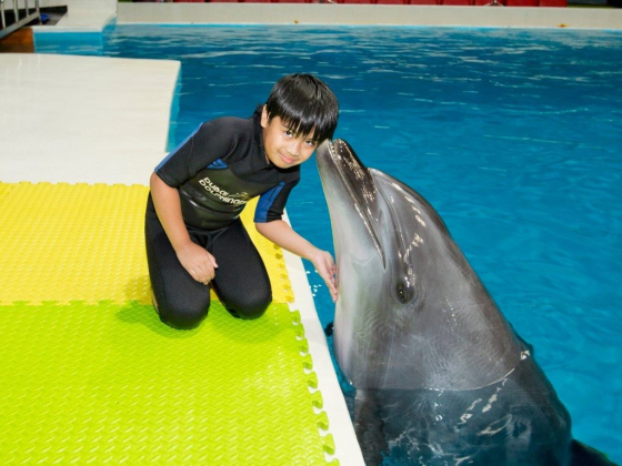 Dubai Dolphinarium