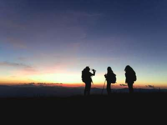 Safwan Travel & Tourism